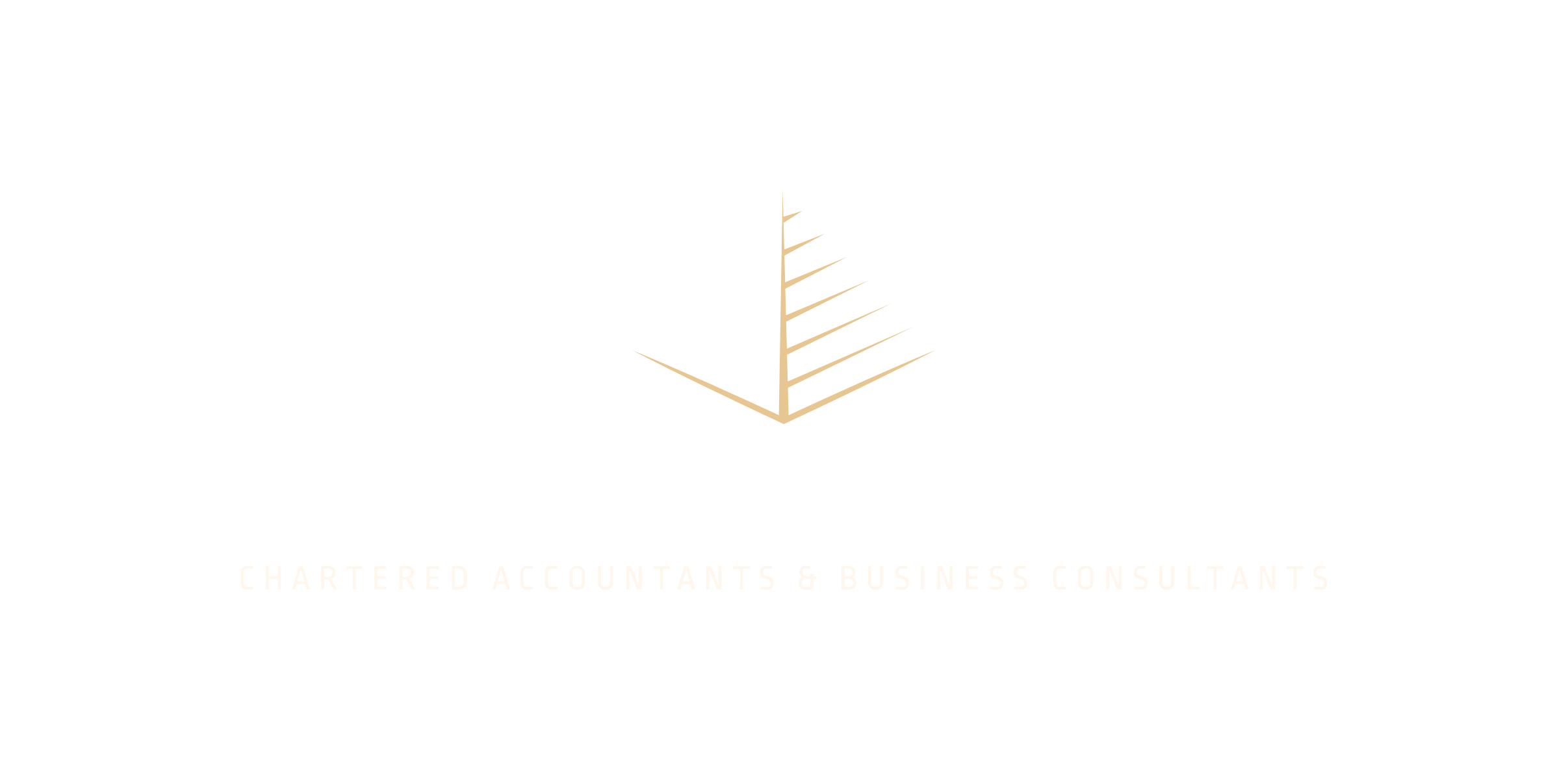 accounting and consulting for business